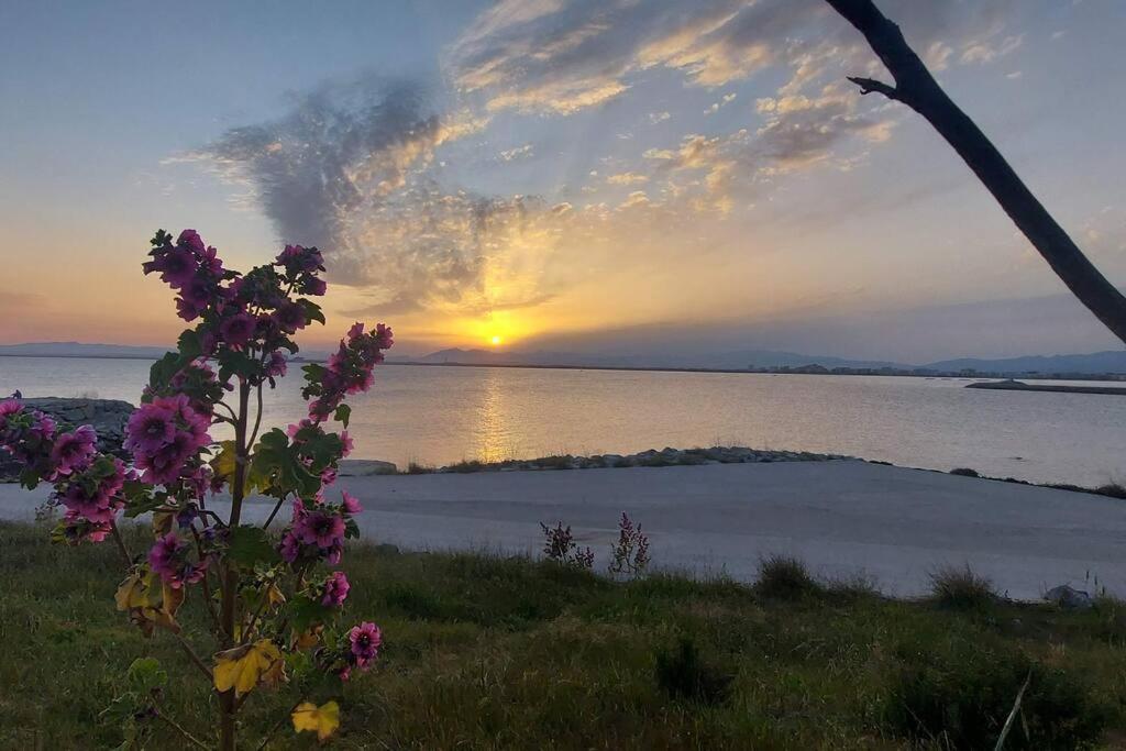 Sunsetmare Vacational Apartment Roses