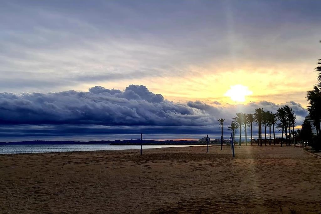 Sunsetmare Vacational * Roses