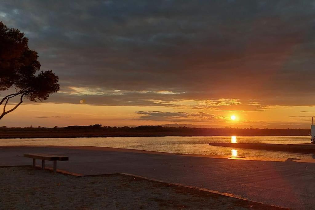 Sunsetmare Vacational * Roses