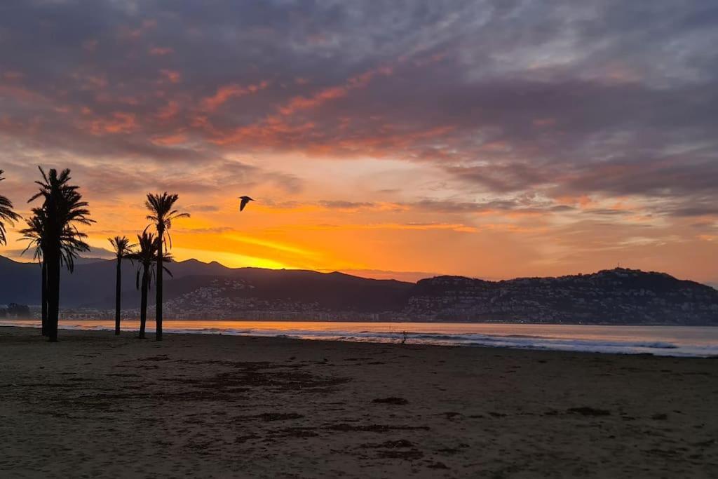 Sunsetmare Vacational Roses