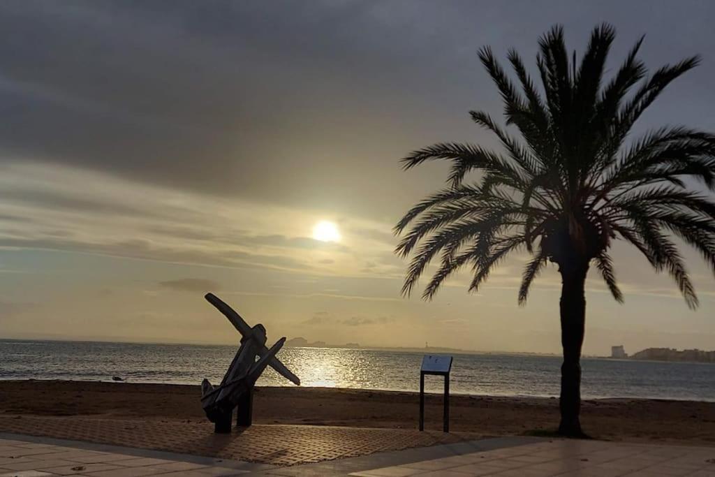 Sunsetmare Vacational * Roses