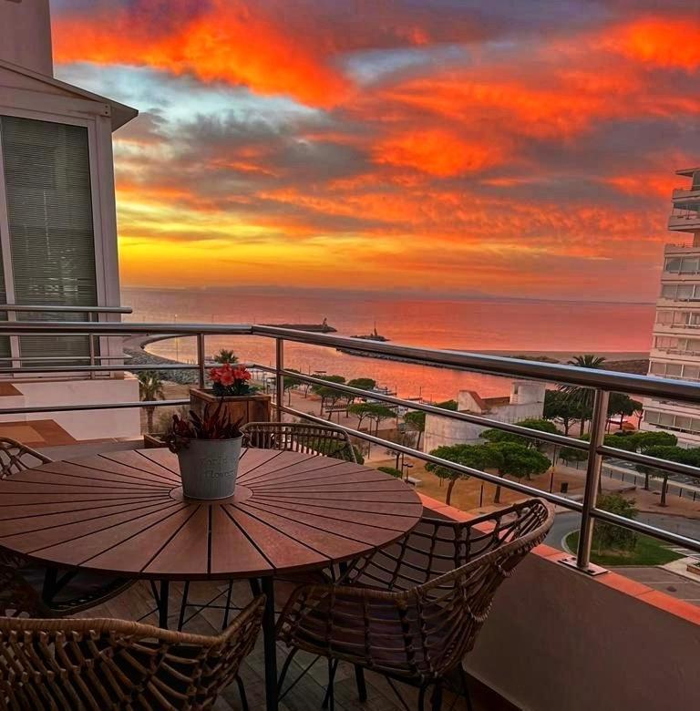 Sunsetmare Vacational Roses